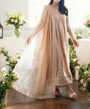 Unstitched Embroidered Chiffon 3PC | FW-019